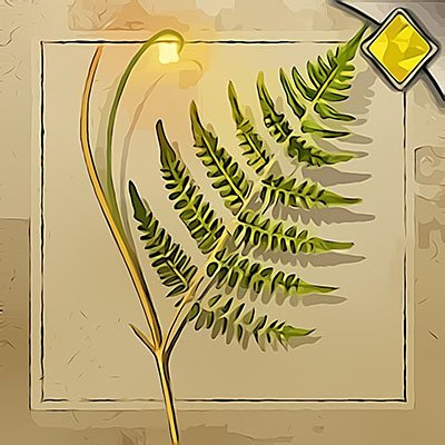 Fern Flower