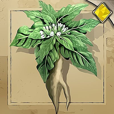 Mandrake
