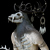 Tuari